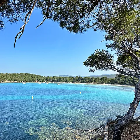 Point de vue sur la plage de l'Estagnol