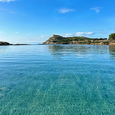 Une pépite du sud de la France : l'île des Embiez