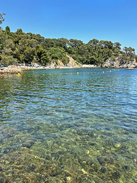 Point de vue sur l'anse Magaud