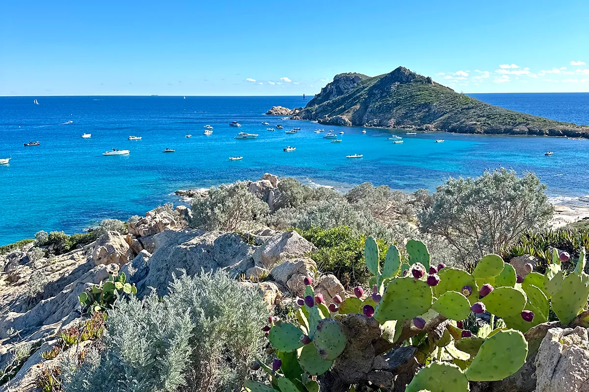 Meilleur point de vue sur le Cap Taillat