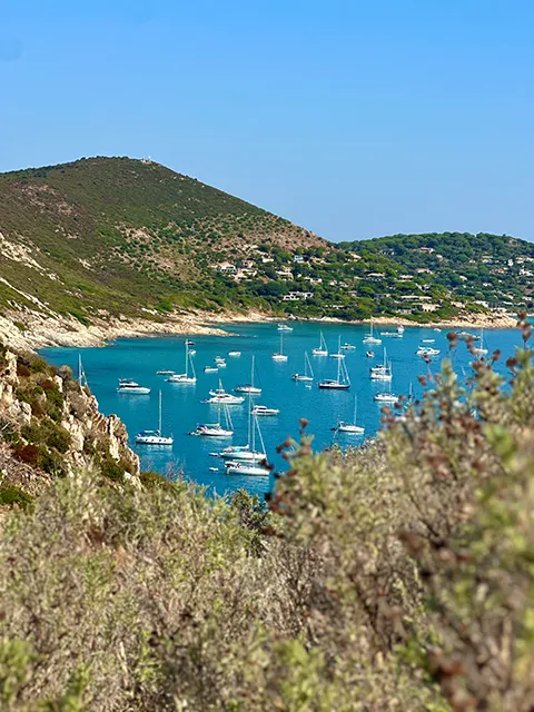 Vue depuis le Cap Taillat sur la Baie de Bonporteau