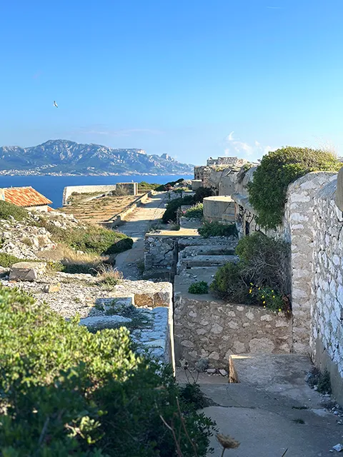 Une visite insolite de Marseille ? Faire une randonnée aux îles du Frioul, au Cap Caveaux