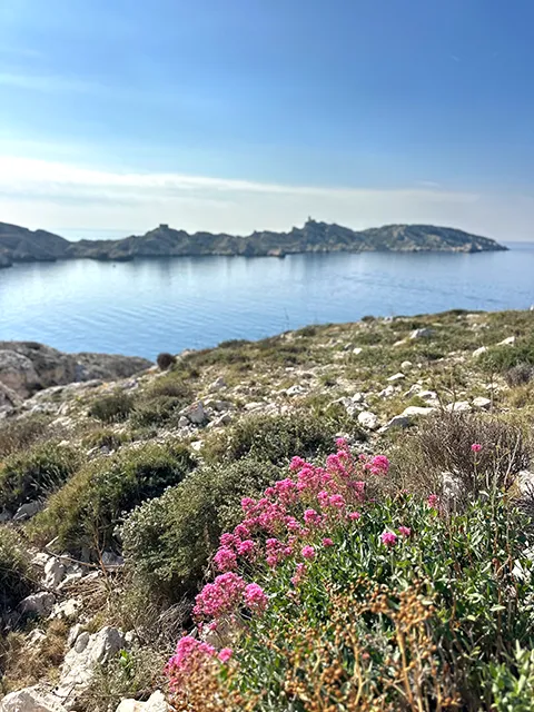 Randonnée sur les îles du Frioul : le tour complet