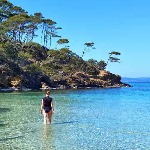 Un des plus beaux endroits du sud de la France : la sublime île de Porquerolles !