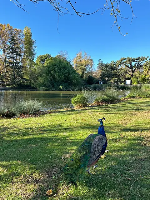 Le jardin Olbia à Hyères, une visite à faire si vous êtes en vacances à Giens