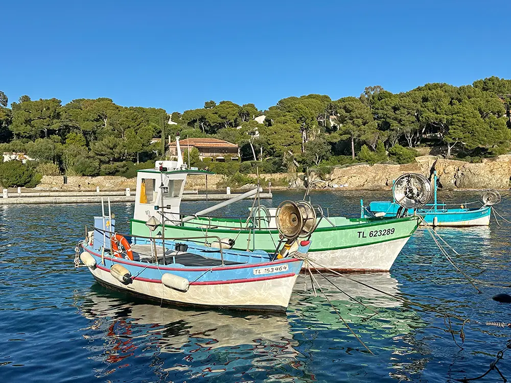 Que faire sur la presqu'île de Giens ? Visiter le port du Niel