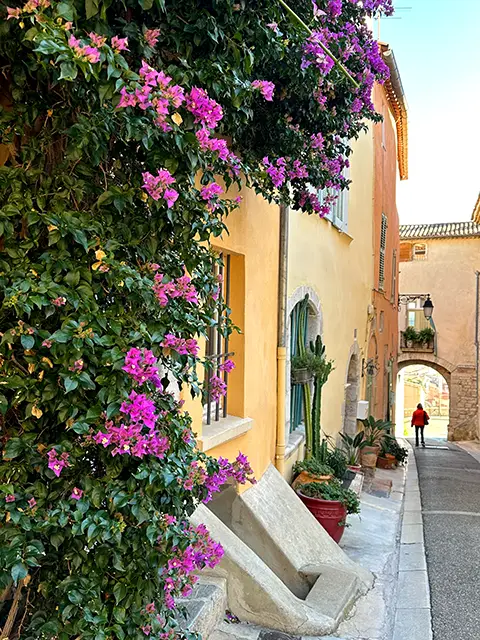 Visite d'Hyères et sa vieille-ville