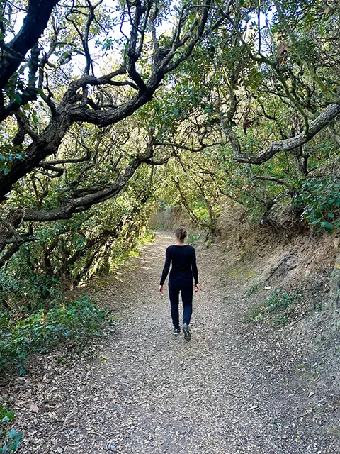 Que faire sur la presqu'île de Giens ?
