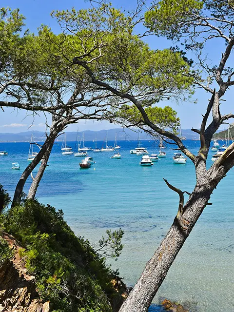 les plages paradisiaques de l'île de Porquerolles dans le Var
