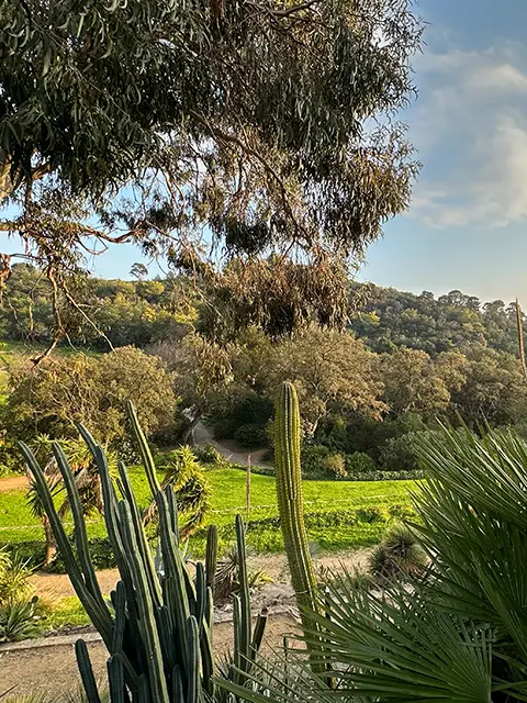 La diversité des plantes dans le jardin du domaine du Rayol